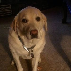 Meet your Posher, Tammy